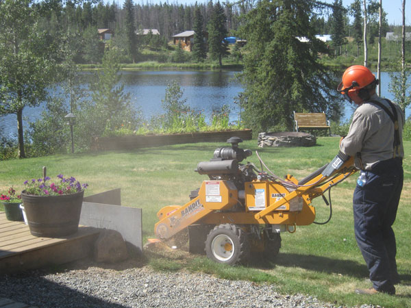 Stump Grinding