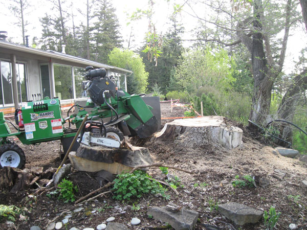 Stump Grinding