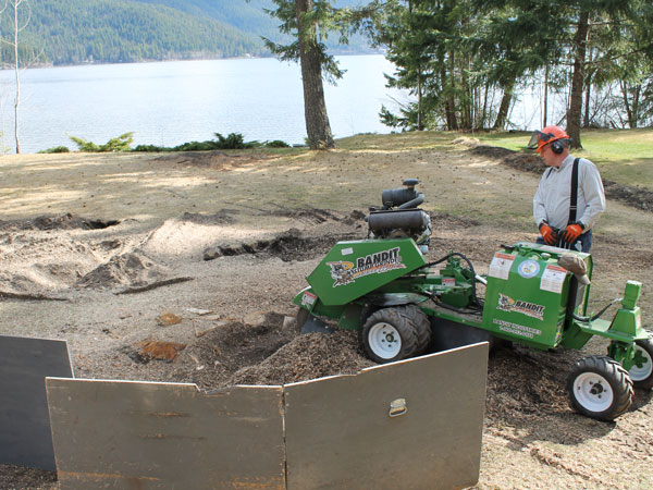 Stump Grinding