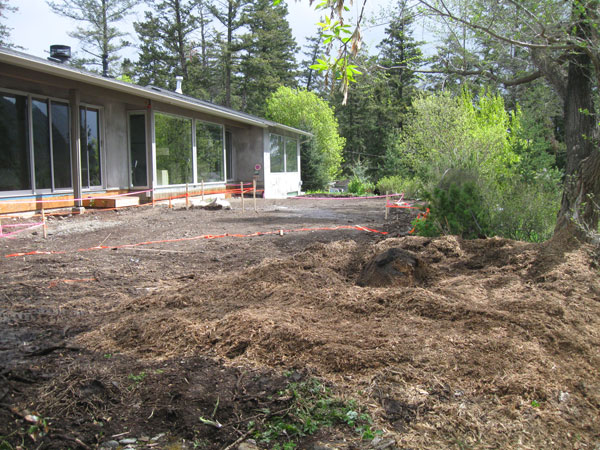 Stump Grinding